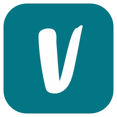 Vinted Pro Shop